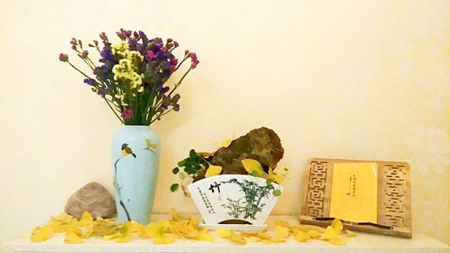 漢上采風(fēng)記 初冬漢中的溫馨與樹木經(jīng)營(yíng)