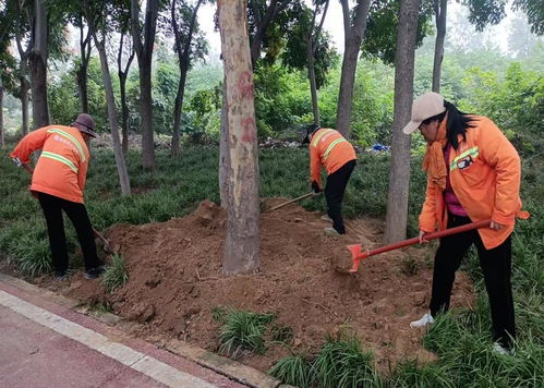 秋季移植添新綠，精細(xì)養(yǎng)護(hù)煥新顏 樹木種植指南